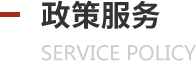 政策服务